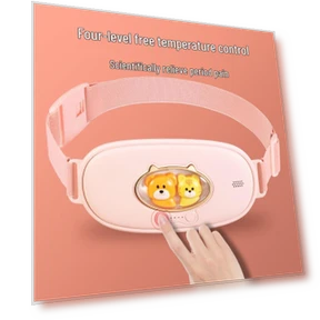 Smart Heated Waist Massager — Rehabilitation & Therapy Equipment, PASTSKY