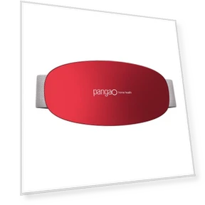 Smart Lumbar Massager with Heat and Pulse — Muscle Stimulators, Pangao