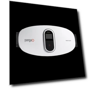 Smart M-Frequency Moxibustion Waist Massager — Back Relief Solutions, Pangao