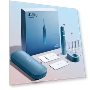 Smart Sonic Electric Toothbrush — Electric Toothbrush Heads, FLYCO