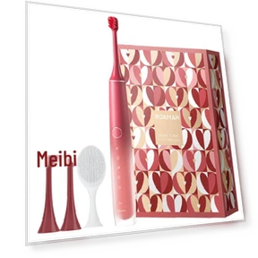 Smart Sonic Electric Toothbrush — Sonic Electric Toothbrushes, Roman