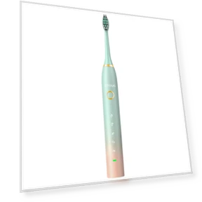 Smart Sonic Electric Toothbrush — Sonic Electric Toothbrushes, DSK