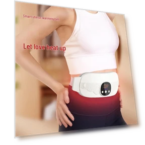 Smart Warm Palace Waist Massager — Rehabilitation & Therapy Equipment, ODINK