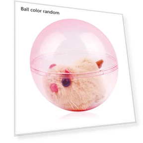 Electronic Hamster in Rolling Balls — Exercise Wheels, Argon