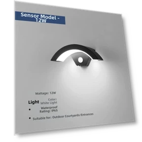 Outdoor Wall-Mounted LED Light with Motion Sensor — Outdoor Security & Flood Lighting, Odeon Light