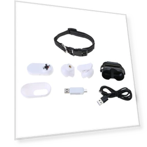 Pet Surveillance Collar Camera — Wearable Cameras, Water Loquat