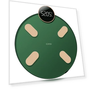 Smart Body Fat Scale — Body Composition Analysis, WolAi