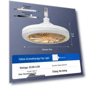 Smart Ceiling Fan Light with Remote Control — Ceiling Fan Lighting Solutions, Joy