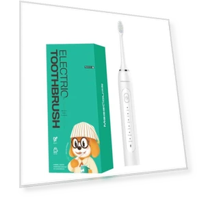 Smart Electric Toothbrush with Gift Box — Sonic Electric Toothbrushes, MEEEGOU