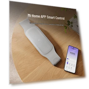 Smart EMS Pulse Waist Massager with Heat — Muscle Stimulators, Xiaomi