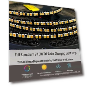 Smart LED Strip Light — LED Strips, Chose One