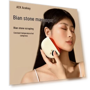 Smart Mini Bianstone Guasha Massager — Rollers & Pens, Aisikai