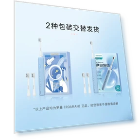 Smart Sonic Electric Toothbrush Couple Set — Sonic Electric Toothbrushes, ROAMAN