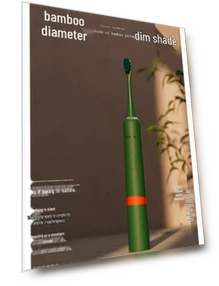 Smart Sonic Electric Toothbrush — Sonic Electric Toothbrushes, Ebonee