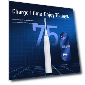 Smart Sonic Electric Toothbrush — Sonic Electric Toothbrushes, Roman