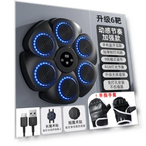 Smart Suspended Boxing Machine — Boxing Training Gear, Fabul11ous