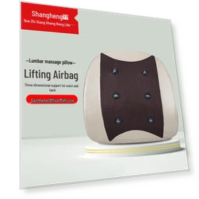 Smart Waist Massager — Rehabilitation & Therapy Equipment, Shangheng