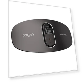 Smart Waist Massager — Muscle Stimulators, Pangao