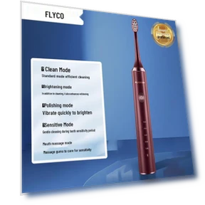 Sonic Electric Toothbrush for Adults — Sonic Electric Toothbrushes, FLYCO