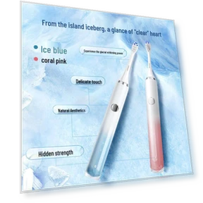 Sonic Electric Toothbrush Twin Pack — Sonic Electric Toothbrushes, Huawei