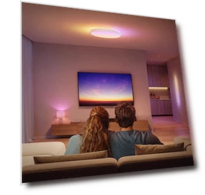 15-inch Ceiling Light — Overhead Lighting, Govee