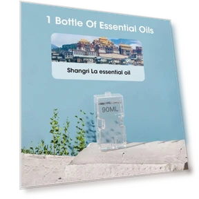 Automatic Touch Aroma Diffuser Night Light — Electric, Aura Living