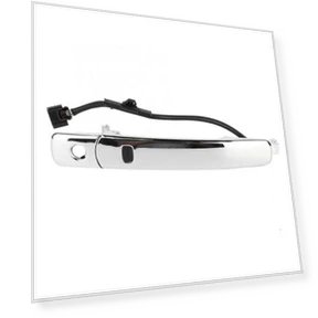 Chrome Door Handle with Smart Entry Button — Interior Grab Handles, Nissan