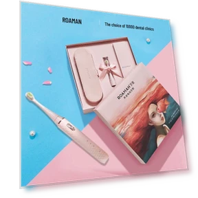 Electric Toothbrush with Travel Bag — Electric Toothbrush Heads, Roman Sonic