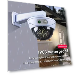 Outdoor Motion Sensor Garden Lighting — Outdoor Security & Flood Lighting, HETP