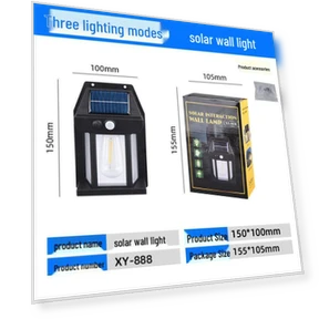 Outdoor Solar Waterproof Courtyard Light with Motion Sensor — Garden Illumination, WIN-WIN