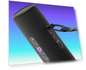 Portable Speaker — Portable Audio, Yandex