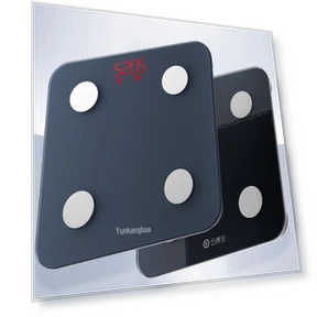 Smart Body Fat Scale — Weight Management Tools, YunKangbao