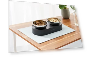 Smart Double Pet Bowl — , PETKIT