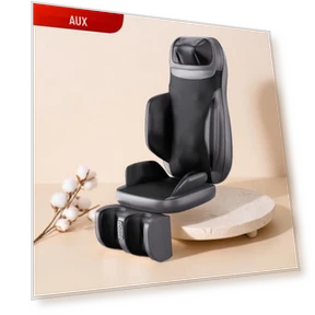 Smart Remote Control Back and Waist Massage Cushion — Thermal Comfort Solutions, AUX