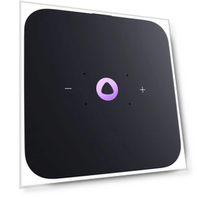 Smart Speaker with Zigbee Hub — Portable Audio, Yandex
