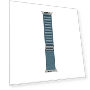 Smartwatch — Smartwatches, Apple