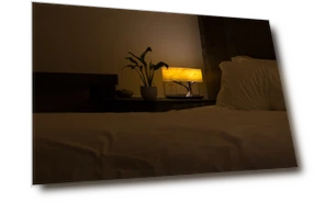 Wireless Charging Lamp with Bluetooth Speaker — Portable Audio, HomeTree