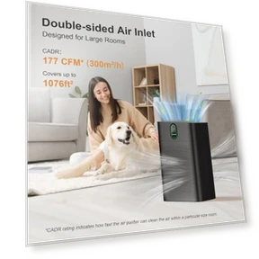 Air Purifier for Large Rooms — Activated Carbon Air Purifiers, MORENTO