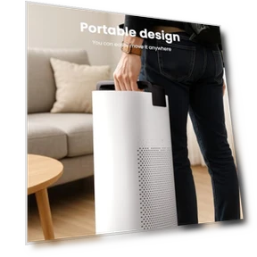 Air Purifier for Large Rooms — Activated Carbon Air Purifiers, MERONTE
