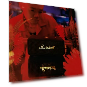 Portable Speaker — Portable Audio Solutions, Marshall