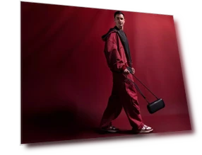 Portable Speaker — Portable Audio, Bose