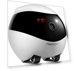 Smart Companion Robot — Security & Surveillance Robots, Red Solution