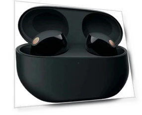 Wireless Earbuds — In-Ear Headphones, Sony