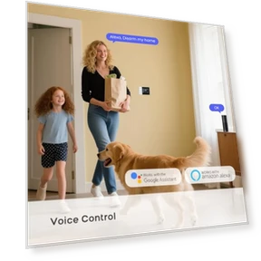 Wireless Home Alarm System — Smart Home Security, PGST