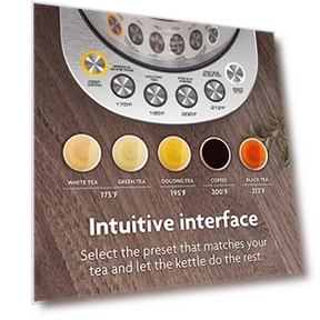 Electric Kettle With Infuser — Kettles & Tea Machines, Vianté