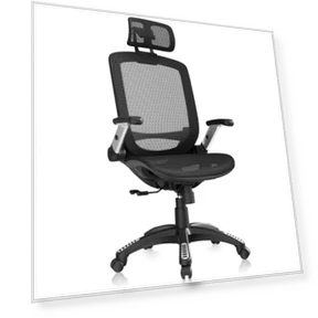 Ergonomic Office Chair with Headrest, Flip-Up Arms, and Wide Cushion — Desk Chairs, GABRYLLY