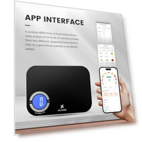 Smart Kitchen Scale with Bluetooth App — Weight Management Tools, EILISON