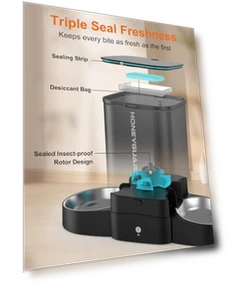 Automatic Cat Feeder for Two Cats — Automatic Feeders, HoneyGuaridan
