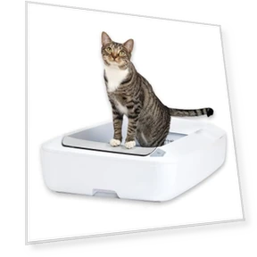 Automatic Self-Cleaning Cat Litter Box System — Self-Cleaning, PetSafe
