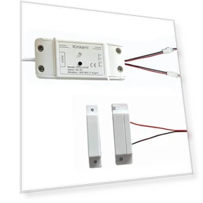 Garage Door Opener Controller — Keypads & Remotes, Kinkeni